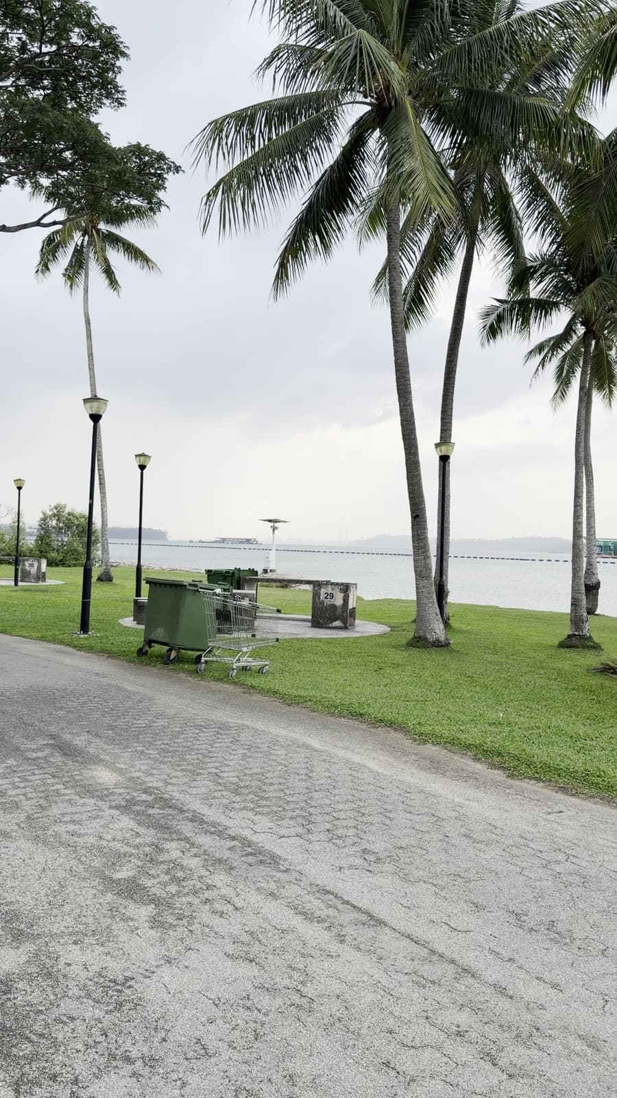 Palm trees beside the Singapore waterfront
